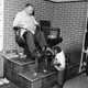 Image for article titled Strange Historic Photos Of Intelligent Animals